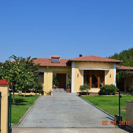 Kavala Villa 360 Degrees Green Amisianá Eksteriør billede